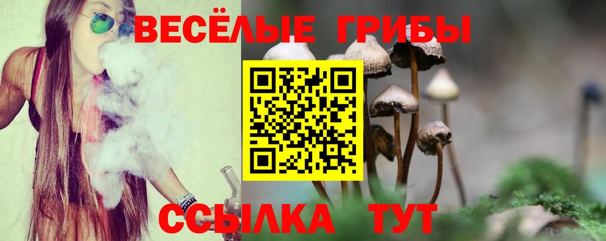Галлюциногенные грибы мухоморы Чайковский
